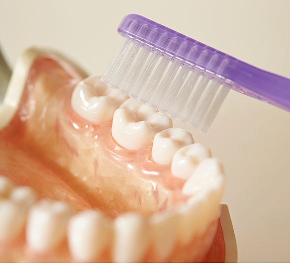 Close up of a toothbrush cleaning a denture