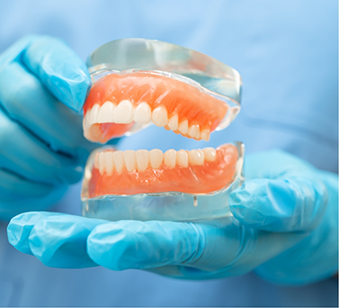Dentist holding a model of the teeth